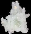 Apophyllite Crystals and Gyrolite on Prehnite - India #44364-1